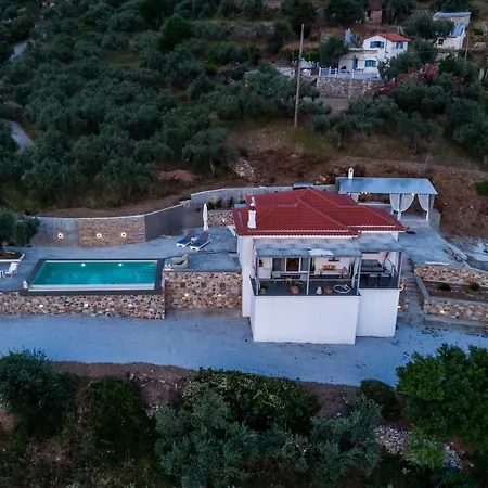 Ninemia In Villa *